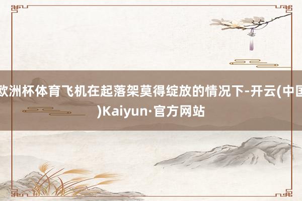 欧洲杯体育飞机在起落架莫得绽放的情况下-开云(中国)Kaiyun·官方网站