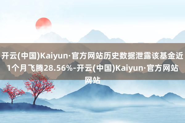 开云(中国)Kaiyun·官方网站历史数据泄露该基金近1个月飞腾28.56%-开云(中国)Kaiyun·官方网站
