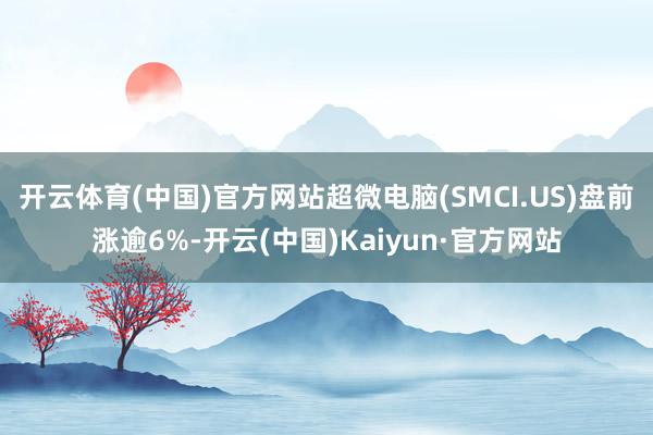 开云体育(中国)官方网站超微电脑(SMCI.US)盘前涨逾6