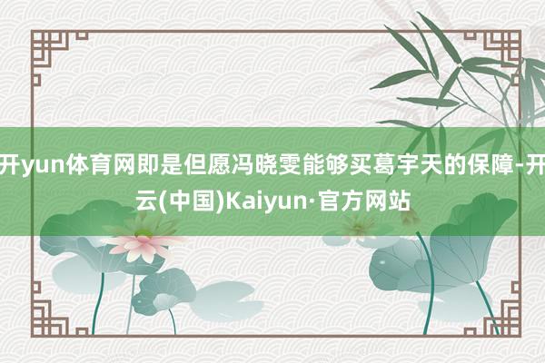 开yun体育网即是但愿冯晓雯能够买葛宇天的保障-开云(中国)Kaiyun·官方网站