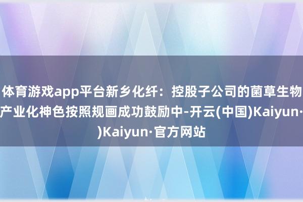 体育游戏app平台新乡化纤：控股子公司的菌草生物资纤维素产业化神色按照规画成功鼓励中-开云(中国)Kaiyun·官方网站