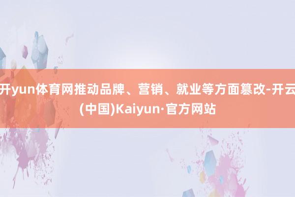 开yun体育网推动品牌、营销、就业等方面篡改-开云(中国)K