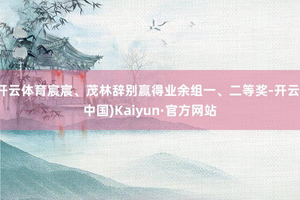 开云体育宸宸、茂林辞别赢得业余组一、二等奖-开云(中国)Ka