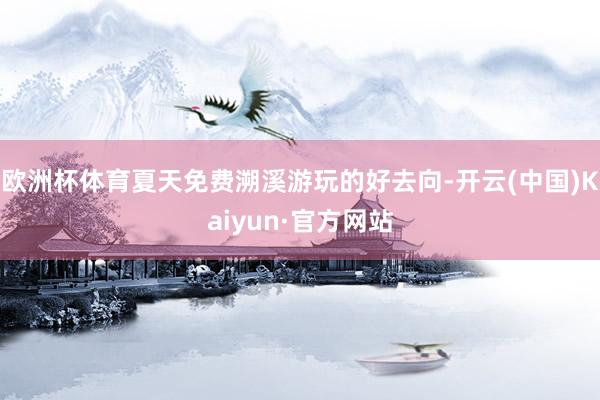 欧洲杯体育夏天免费溯溪游玩的好去向-开云(中国)Kaiyun·官方网站
