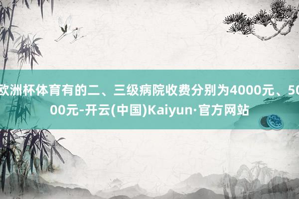 欧洲杯体育有的二、三级病院收费分别为4000元、5000元-