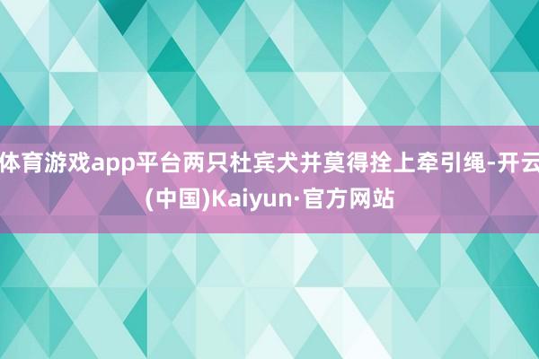 体育游戏app平台两只杜宾犬并莫得拴上牵引绳-开云(中国)K
