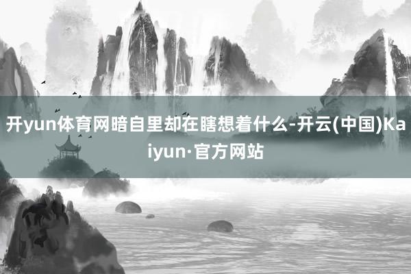 开yun体育网暗自里却在瞎想着什么-开云(中国)Kaiyun