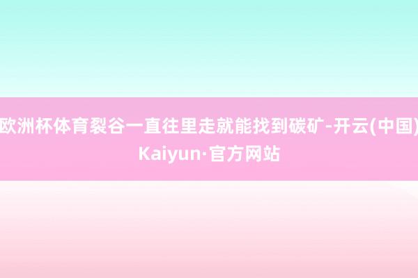 欧洲杯体育裂谷一直往里走就能找到碳矿-开云(中国)Kaiyu