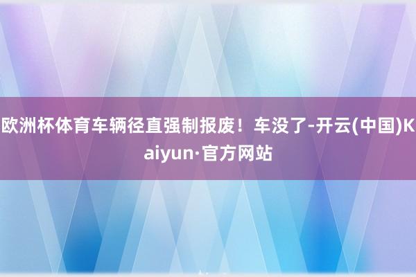 欧洲杯体育车辆径直强制报废！车没了-开云(中国)Kaiyun